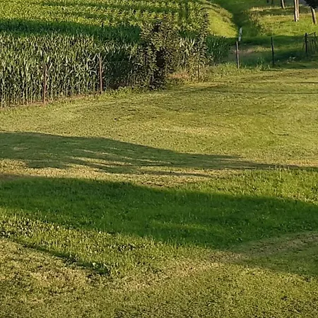 Oderbruch Am Speicher Neulewin