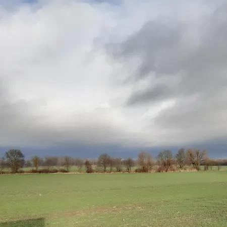 Apartment Oderbruch Am Speicher *