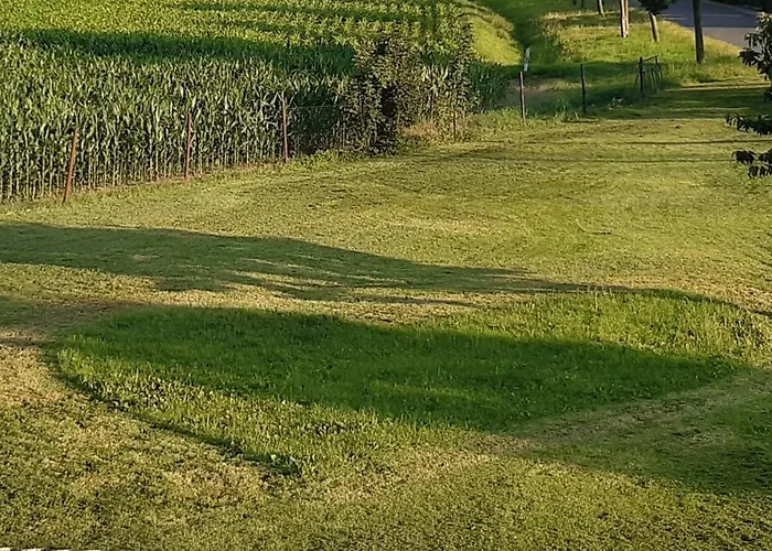 Oderbruch Am Speicher Neulewin